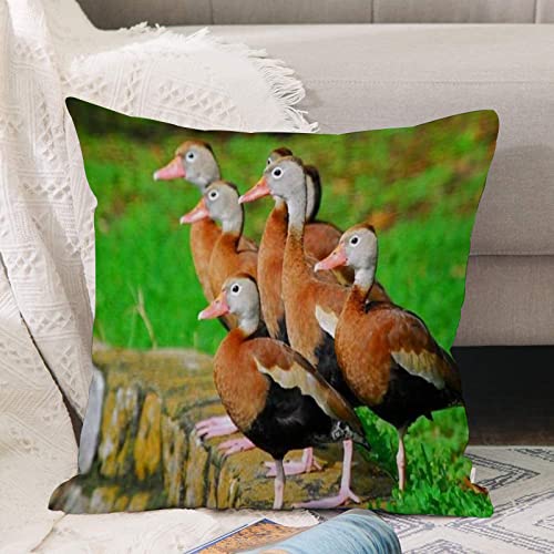 Kissenbezug 45x45 cm,Kleine Enten,,Outdoor Kissen Kissenbezüge Kissenhülle Sofa Kissen dekokissen Zierkissen für Wohnzimmer Garten deko draußen von ANNKOOT