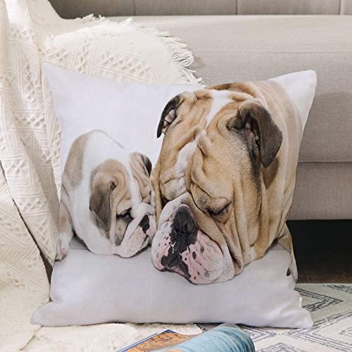 Kissenbezug 45x45 cm,Schöner englischer Bulldoggen-Welpe mit seinem Vater,Outdoor Kissen Kissenbezüge Kissenhülle Sofa Kissen dekokissen Zierkissen für Wohnzimmer Garten deko draußen von ANNKOOT