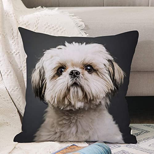 Kissenbezug 45x45 cm,Shih Tzu im Studio mit dunklem Hintergrundhund,Outdoor Kissen Kissenbezüge Kissenhülle Sofa Kissen dekokissen Zierkissen für Wohnzimmer Garten deko draußen von ANNKOOT