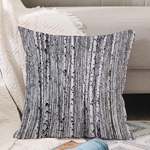 Kissenbezug 45x45 cm,Stamm Birken ohne Blätter Schwarz Weiß Frühling Fantasie Zweig Natur L,Outdoor Kissen Kissenbezüge Kissenhülle Sofa Kissen dekokissen Zierkissen für Wohnzimmer Garten deko draußen von ANNKOOT