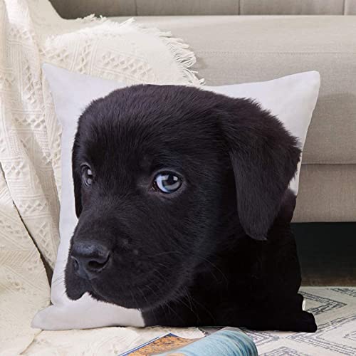 Kissenbezug 45x45 cm,Süße kleine Schwarze Labrador Retriever Welpe in die Kamera schaut,Outdoor Kissen Kissenbezüge Kissenhülle Sofa Kissen dekokissen Zierkissen für Wohnzimmer Garten deko draußen von ANNKOOT