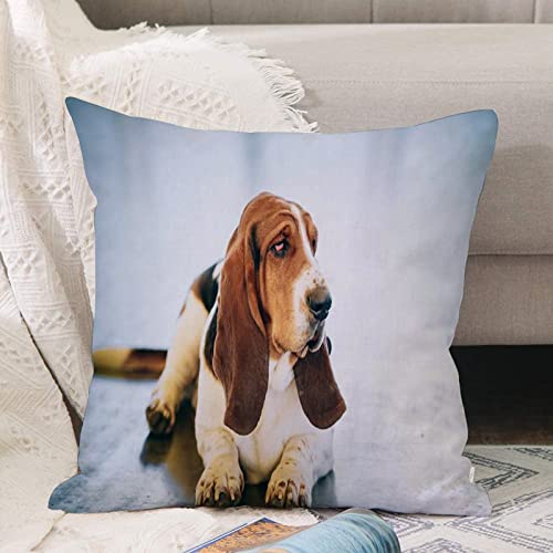 Kissenbezug 45x45 cm,Weißes und braunes Basset Hound Dog Schönes Haar,Outdoor Kissen Kissenbezüge Kissenhülle Sofa Kissen dekokissen Zierkissen für Wohnzimmer Garten deko draußen von ANNKOOT