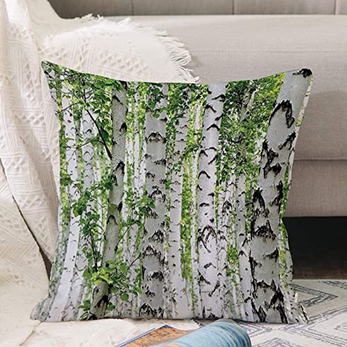 Kissenbezug 45x45 cm,Woodland Birken im Wald Summertime Wildlife Natur themenorientiertes D,Outdoor Kissen Kissenbezüge Kissenhülle Sofa Kissen dekokissen Zierkissen für Wohnzimmer Garten deko draußen von ANNKOOT