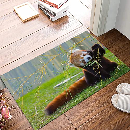 Weich Badezimmerteppich 50x80 cm,Süßer roter Panda auf dem Feld, der mit Bambuszweigen spielt. Einheimische Him,Rutschfest waschbar Badematte, Badteppich Mikrofaser Saugfähig Badvorleger Duschvorleger von ANNKOOT
