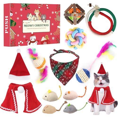 ANOTION Katze Spielzeug, 12 Tage Katze Spielzeug Set für Katzen mit Interaktive Katzenminze Spielzeug, Mäuse, Katze Feder Ball, Katzenliebhaber Katzenbesitzer Frauen von ANOTION