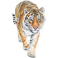 Sonstige Wanddekoration Ein Set Tiger-Wandaufkleber - Wanddekoration für Wohnzimmer, Schlafzimmer, Büro, Küche - Wandaufkleber von ANPVIZ