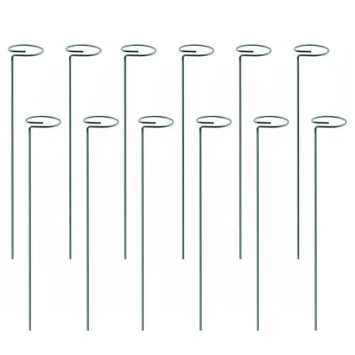 20 Pcs Tomaten Twist Stakes Spirale Anlage Unterstützung Klettern for Schmetterling Orchidee Blumen Hause Gartenarbeit FüR Orchideen(45cm) von ANQKYO