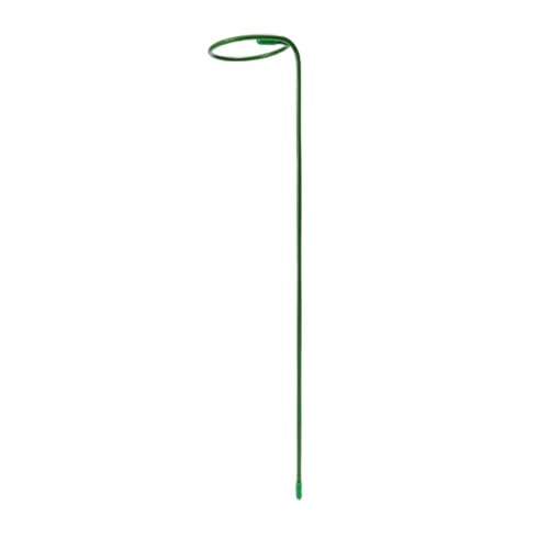 20 stücke Anlage Unterstützung Rahmen Garten Stake Käfig Blume Stehen Einzigen Stamm Strauch Halter for Rose Peonie FüR Orchideen(35cm) von ANQKYO