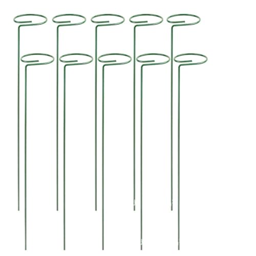 20 stücke Garten Spalier Blume Unterstützung Gewächshaus Gartenarbeit Säule Stahl Beschichtet Rohr Klettern Anlage FüR Orchideen 20 stücke Garten Spalier Blume Unterstützung Gewächshaus Gartenarbeit Säule Stahl Beschichtet Rohr Klettern Anlage FüR Orchideen von ANQKYO