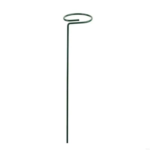 20 stücke Garten Unterstützung Stake Ring Metall Anlage Unterstützt Einzigen Stamm Strauch Halter FüR Orchideen(25cm) von ANQKYO