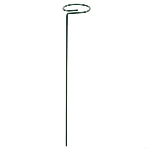 20 stücke Garten Unterstützung Stake Ring Metall Anlage Unterstützt Einzigen Stamm Strauch Halter FüR Orchideen(30cm) von ANQKYO