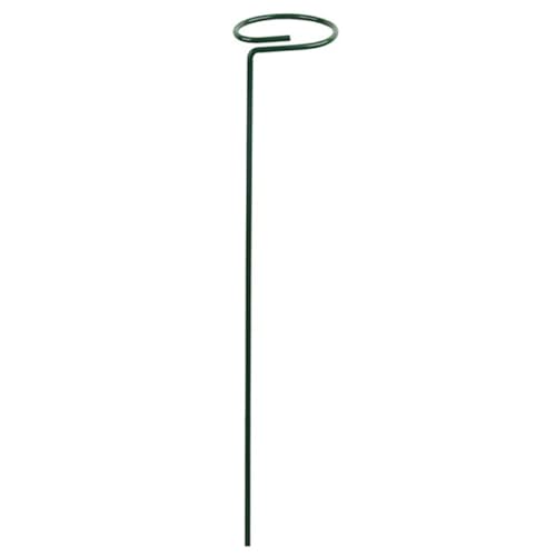 20 stücke Garten Unterstützung Stake Ring Metall Anlage Unterstützt Einzigen Stamm Strauch Halter FüR Orchideen(30cm) von ANQKYO