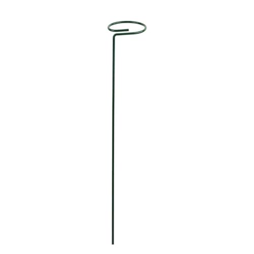 20 stücke Garten Unterstützung Stake Ring Metall Anlage Unterstützt Einzigen Stamm Strauch Halter FüR Orchideen(35cm) von ANQKYO