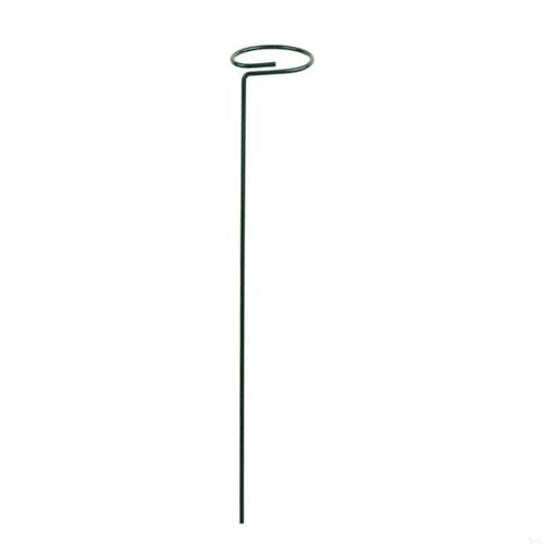 20 stücke Garten Unterstützung Stake Ring Metall Anlage Unterstützt Einzigen Stamm Strauch Halter FüR Orchideen(35cm) von ANQKYO