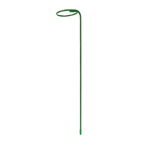 20 stücke Pflanzen Unterstützung Stake Eisen Ring Blumentopf Einzelnen Stamm Halter Tragbare Strauch Reben Gerät Hause Garten Anlage FüR Orchideen(35cm) von ANQKYO