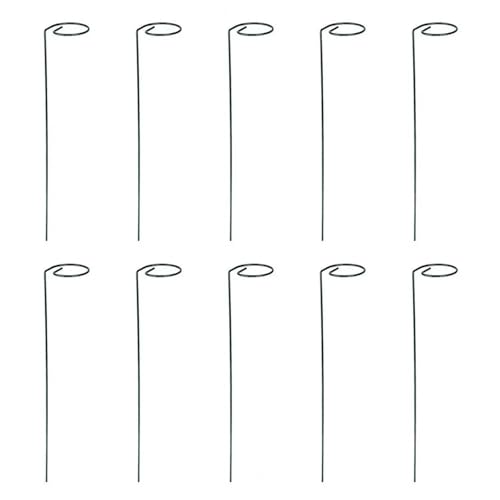20 stücke Tomaten Pflanze Spirale Stake Twist Stakes for Klettern Gemüse Einfache Installation Gartenarbeit Stangen for Pflanzen FüR Orchideen(Type A) von ANQKYO