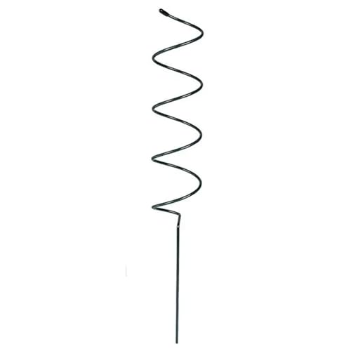 20 stücke Wiederverwendbare Gartenanlage Unterstützung Schmetterling Orchidee Feste Pole Recycelbar Klettern Spirale Metall Blume Rack FüR Orchideen(Spiral Fixed Rod) von ANQKYO