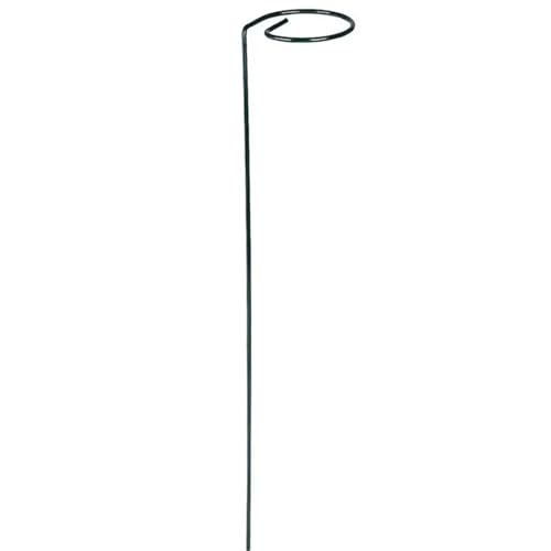 20 stücke Wiederverwendbare Gartenanlage Unterstützung Schmetterling Orchidee Feste Pole Recycelbar Klettern Spirale Metall Blume Rack FüR Orchideen(Straight Fixed Rod) von ANQKYO