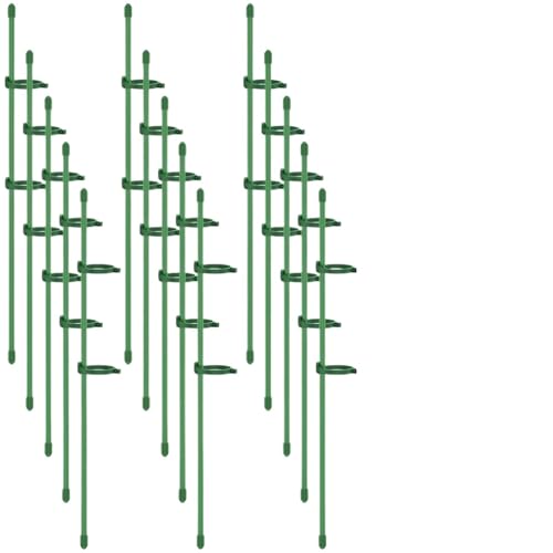 20Pcs Anlage Unterstützt Stakes Blume Stehen Sticks Garten Einzigen Stamm Unterstützung Stake Bonsai FüR Orchideen 20Pcs Anlage Unterstützt Stakes Blume Stehen Sticks Garten Einzigen Stamm Unterstützung Stake Bonsai FüR Orchideen von ANQKYO