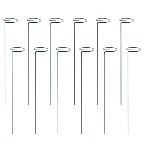 24 stücke Anlage Unterstützung Stake Tomaten Twist Stakes for Klettern Pflanzen Spirale for Orchideen for Home FüR Orchideen(35cm) von ANQKYO