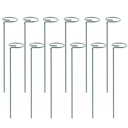 24 stücke Anlage Unterstützung Stake Tomaten Twist Stakes for Klettern Pflanzen Spirale for Orchideen for Home FüR Orchideen(45cm) von ANQKYO