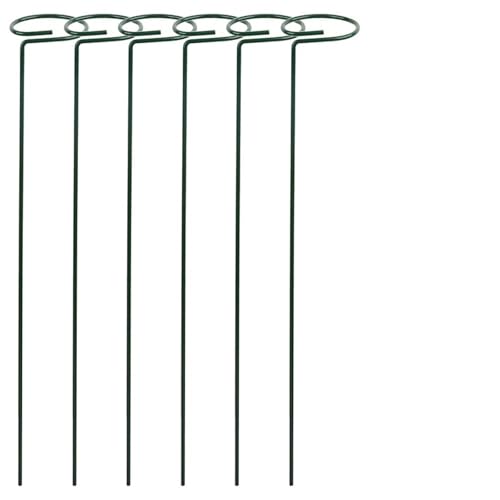 24 stücke Einzelnen Stamm Anlage Stakes Unterstützt for Klettern Pflanzen Ideal for Amaryllis Orchideen Tomaten FüR Orchideen(45cm) von ANQKYO