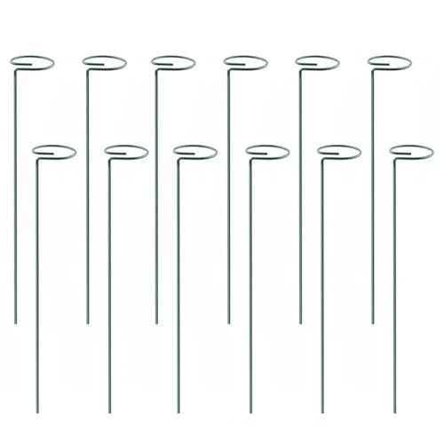 24 stücke Pflanzenstab Tomaten Twist Stakes for Kletterpflanzen Spirale Unterstützung Turm for Orchideen Blumen for Home FüR Orchideen(35cm) von ANQKYO