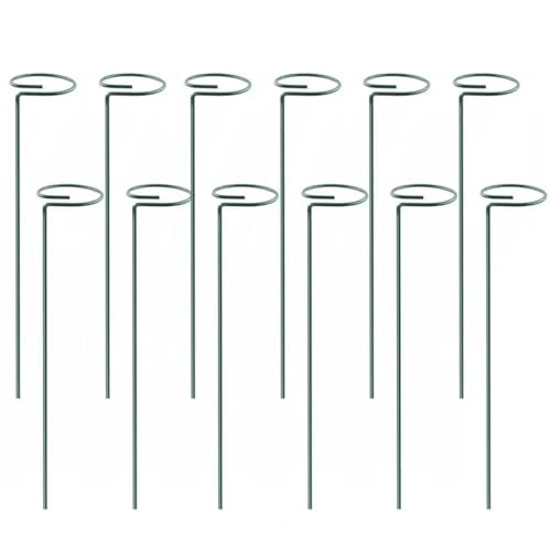 24 stücke Pflanzenstab Tomaten Twist Stakes for Kletterpflanzen Spirale Unterstützung Turm for Orchideen Blumen for Home FüR Orchideen(45cm) von ANQKYO