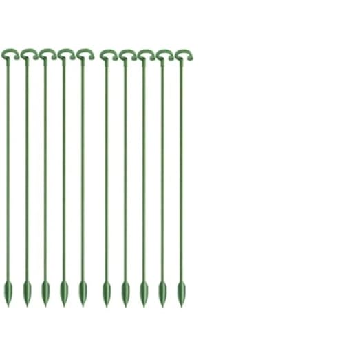 30PCS Anlage Unterstützt Stehen Schmetterlinge Orchidee Blume Topf Befestigung Stangen Wiederverwendbare Gemüse Schutz Werkzeug FüR Orchideen(37cm) von ANQKYO