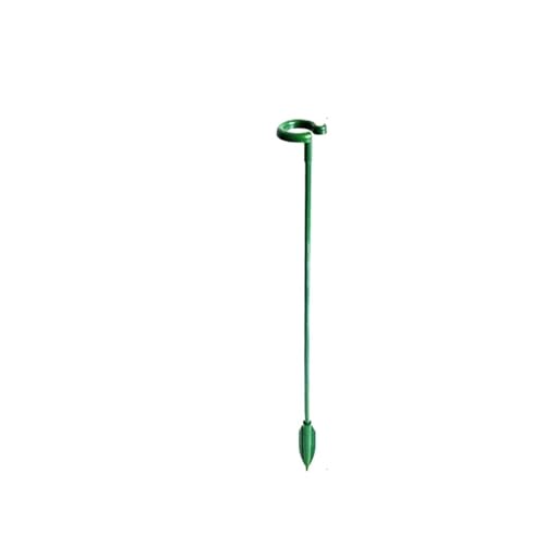 40PCS Anlage Unterstützt Stakes Blume Stehen Sticks Wiederverwendbare Clips Bonsai Befestigung Werkzeug Wachsen Halter Garten Werkzeuge FüR Orchideen(27cm) von ANQKYO