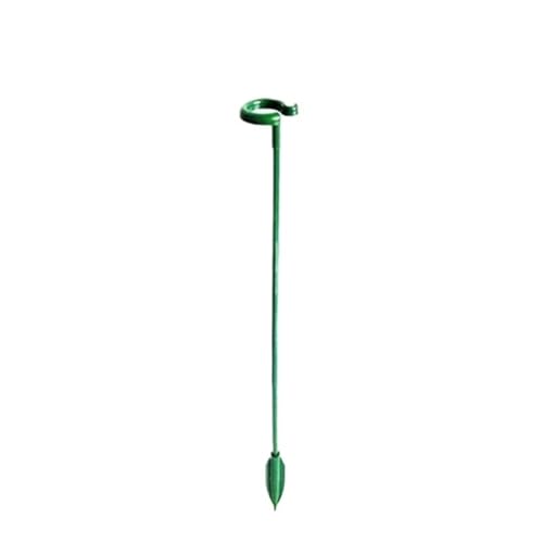 40PCS Pflanzen Unterstützung Stange Wiederverwendbare Feste Stick for Stand Blume Reben Klettern Halterung Gartenarbeit Accsesories FüR Orchideen(17cm) von ANQKYO