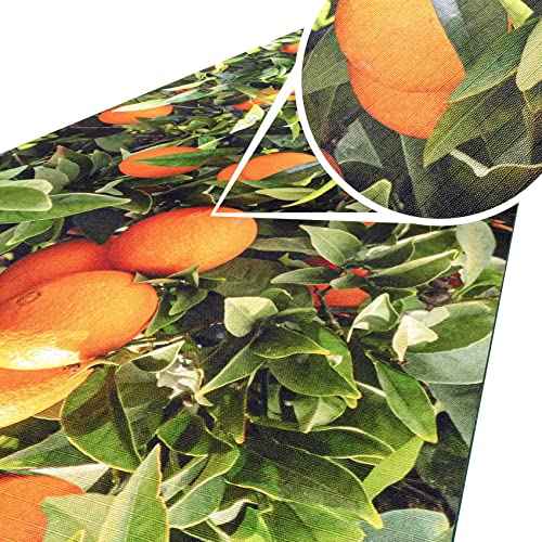 ANRO Küchenteppich Küchenläufer Teppich Läufer Küche abwischbar rutschfest Design Orangen 120 x 52cm von ANRO