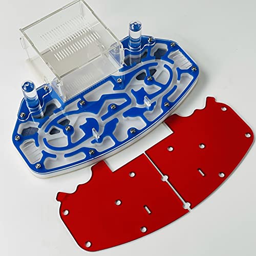 Große Größe 24 * 18cm Arylisches AMEISENNEST, Ameisenfarm, Ameisenlebensraum, FORMICARIUM MIT EINGEBAUTER Arena „PLATTFORM“ (Blue) von ANT GRAPE
