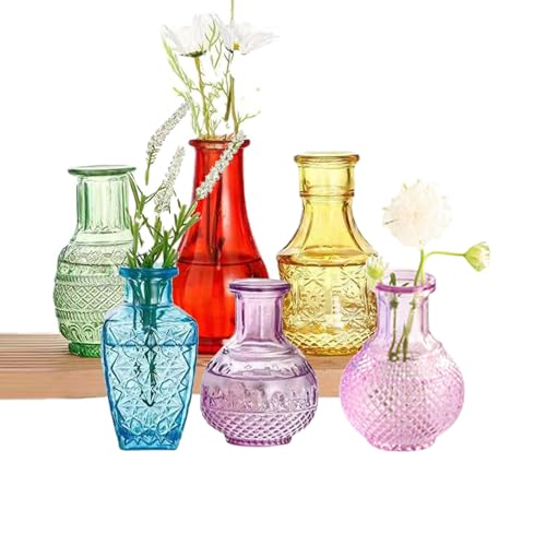 Ins Moderne Vasenset Eine transparente Glasvase für den Schreibtisch, ideal für Zuhause, Büro, Restaurant oder Café (Farbig) von ANTUREBAY
