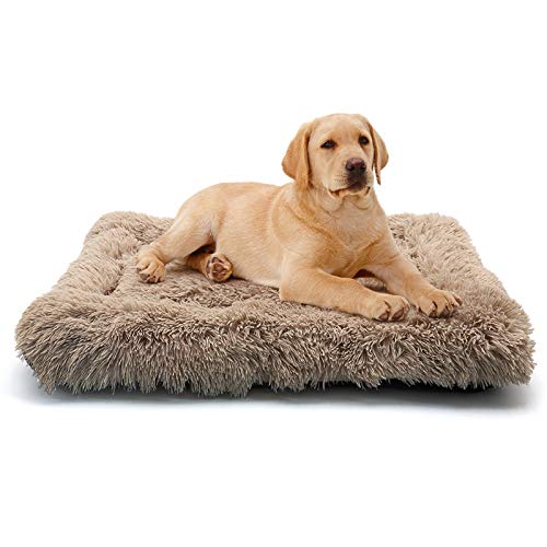 ANWA Dog Bed Medium Size Dogs, Washable Dog Crate Bed Cushion, Dog Crate Pad Medium Dogs 30 INCH ANWA Dog Bed Medium Size Dogs, Washable Dog Crate Bed Cushion, Dog Crate Pad Medium Dogs 30 INCH von ANWA