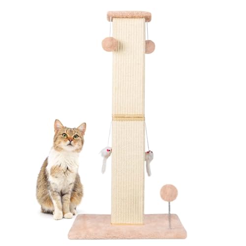 ANWA Große Katzenkratzbäume für Indoor-Katzen, 81,3 cm hoch, vertikaler Katzenkratzbaum mit baumelndem Spielzeug, Premium-Sisalseil-Stammkratzer für Katzen in jedem Alter, Beige ANWA Große Katzenkratzbäume für Indoor-Katzen, 81,3 cm hoch, vertikaler Katzenkratzbaum mit baumelndem Spielzeug, Premium-Sisalseil-Stammkratzer für Katzen in jedem Alter, Beige von ANWA