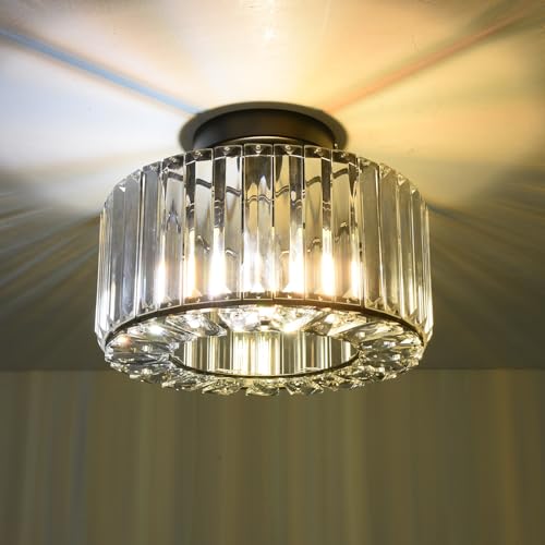 ANWIO Schwarz Kristall Deckenleuchte Moderne Runder Hängend Deckenlampe E27 für Wohnzimmer Flur Schlafzimmer Küche 27CM von ANWIO