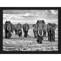 ANY IMAGE Digitaldruck »Elefanten«, Rahmen: Buchenholz, Schwarz von ANY IMAGE