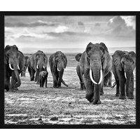 ANY IMAGE Digitaldruck »Elefanten«, Rahmen: Buchenholz, Schwarz von ANY IMAGE