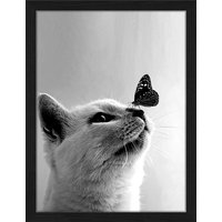ANY IMAGE Digitaldruck »Hübsche Katze«, Rahmen: Buchenholz, Schwarz von ANY IMAGE