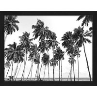ANY IMAGE Digitaldruck »Kokospalmen«, Rahmen: Buchenholz, Schwarz von ANY IMAGE