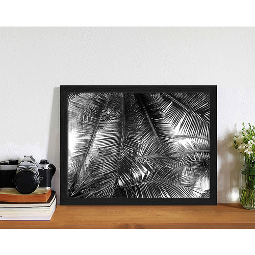 ANY IMAGE Digitaldruck »Palmblätter«, Rahmen: Buchenholz, Schwarz von ANY IMAGE