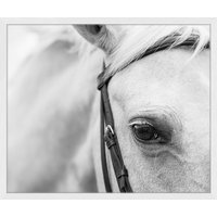 ANY IMAGE Digitaldruck »Pferd«, Rahmen: Buchenholz, weiß - weiss von ANY IMAGE