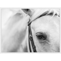 ANY IMAGE Digitaldruck »Pferd«, Rahmen: Buchenholz, weiß - weiss von ANY IMAGE