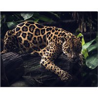 ANY IMAGE Kunstdruck »Jaguar«, mehrfarbig, Alu-Dibond - bunt von ANY IMAGE