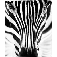 ANY IMAGE Kunstdruck »Zebra I«, mehrfarbig, Alu-Dibond - bunt von ANY IMAGE