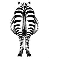 ANY IMAGE Kunstdruck »Zebra II«, mehrfarbig, Alu-Dibond - bunt von ANY IMAGE