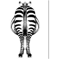 ANY IMAGE Kunstdruck »Zebra II«, mehrfarbig, Alu-Dibond - bunt von ANY IMAGE