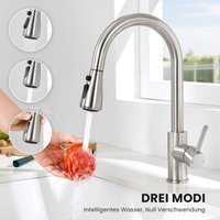 Ausziehbare Küchenarmatur mit 2 Straharten Brause, 360° Drehbarer Küche Wasserhahn, Edelstahl Spültischarmatur Mischbatterie, Gebürstet Ausziehbare Küchenarmatur mit 2 Straharten Brause, 360° Drehbarer Küche Wasserhahn, Edelstahl Spültischarmatur Mischbatterie, Gebürstet von ANYCEE MAX