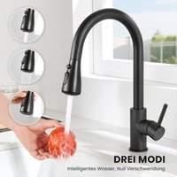 Schwarz Ausziehbare Küchenarmatur mit 2 Straharten Brause, 360° Drehbarer Küche Wasserhahn, Edelstahl Spültischarmatur Mischbatterie Schwarz Ausziehbare Küchenarmatur mit 2 Straharten Brause, 360° Drehbarer Küche Wasserhahn, Edelstahl Spültischarmatur Mischbatterie von ANYCEE MAX
